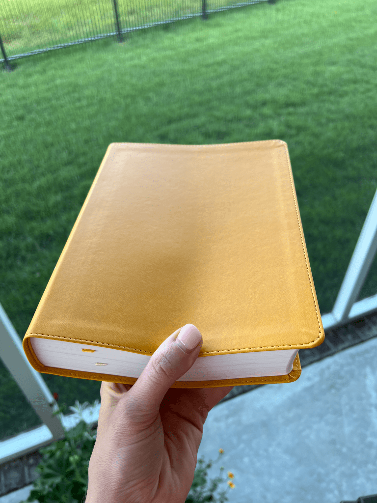 LifeWay Women’s Bible&nbsp;CSB